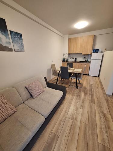 a living room with a couch and a kitchen at AquaTherm Felix in Sînmartin