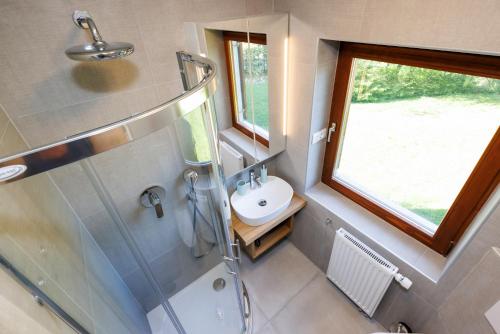 a small bathroom with a sink and a shower at Chalet Ana Bohinj in Bohinj
