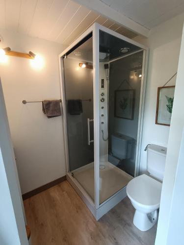 a glass shower in a bathroom with a toilet at Le Temps d'un Instant in Vattetot-sur-Mer