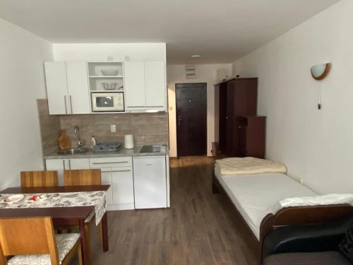 a small apartment with a kitchen and a living room at Bele Staze 3a Kopaonik, Brzece in Kopaonik