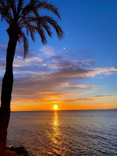 Foto Corazón de Santa Pola 6