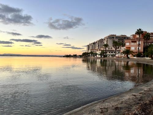 Los Cactus de Veneziola
