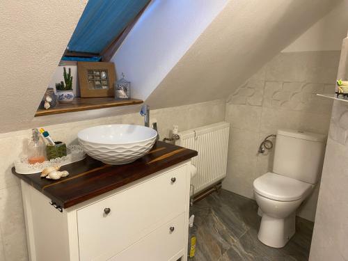 Koupelna v ubytování Podkrovní studio apartment pro 1-5 osob