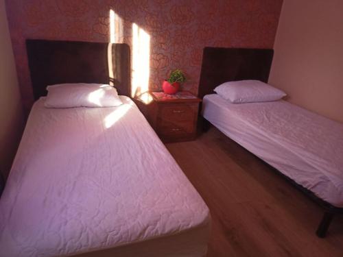 a bedroom with two beds and a table with a plant at Апельсин in Myrhorod