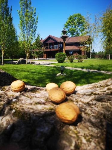 Un jardín fuera de Graikinė