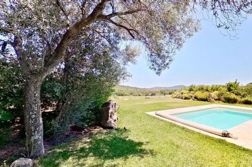 a swimming pool in a yard with a tree at ARGIALE - ARGHJALE in Figari