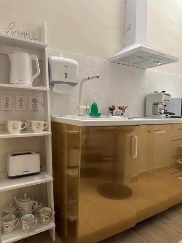 a kitchen with a sink and a counter top at Apartman Modena Novi Sad in Novi Sad