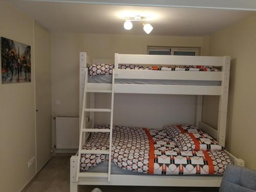 une chambre avec deux lits superposés dans une pièce dans l'établissement Studio pour 3 personnes à 1 station de métro de Paris, à Saint-Denis