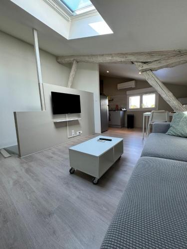 un salon avec un canapé et une télévision dans l'établissement Joli petit logement avec fraîcheur et confort, à Lescure-dʼAlbigeois