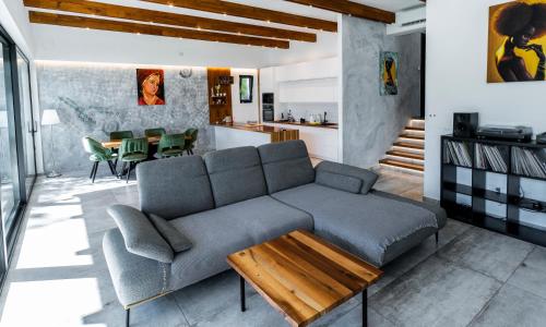Gallery image of New Villa with swimming pool in Petrovaradin