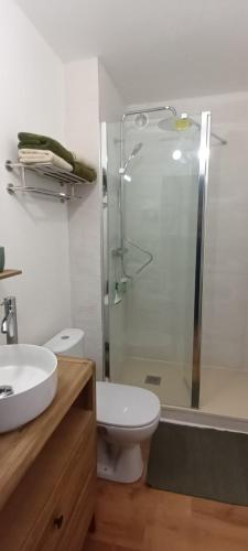 a bathroom with a shower and a toilet and a sink at le studio de Dalie in Honfleur
