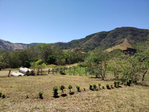 a field with trees and a house on a hill at Cielo Azul in Monteverde Costa Rica
