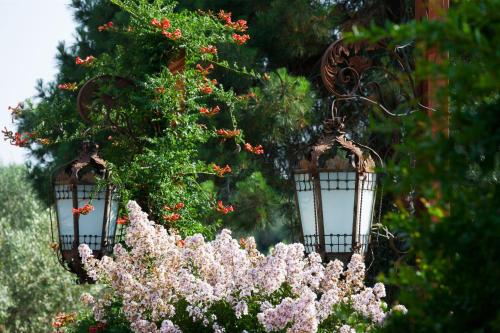 two lights are attached to a tree with lilacs at Piccolo Feudo Green Resort in Viterbo