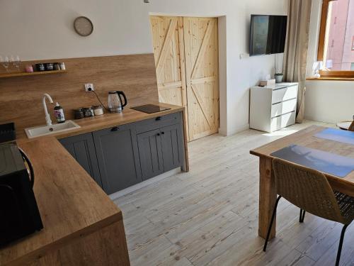Dapur atau dapur kecil di Apartamenty Luna A-B