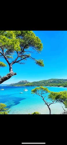 イエールにあるL édenの水上のボートが乗る湖の景色