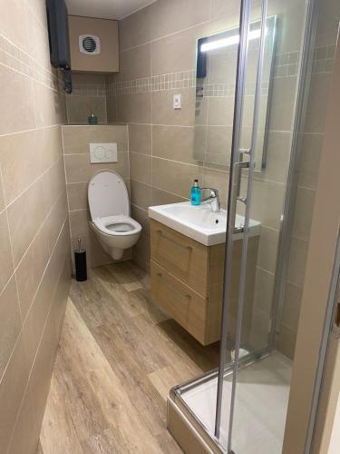 une salle de bain avec toilettes, lavabo et douche dans l'établissement Agréable Studio au cœur du village, à Saint-Martin-Vésubie