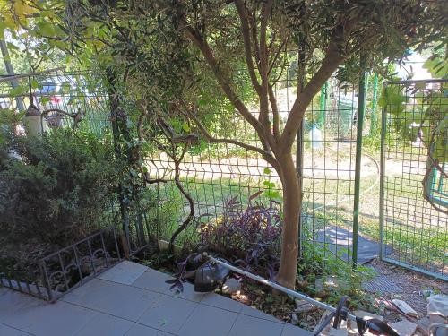 a fence with a tree next to a tree at Zagradge IN Apartments in Zagrađe