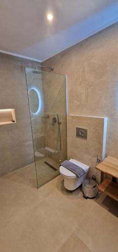 a bathroom with a shower and a toilet with a glass door at IVANKA'S VILLAS in Skala Rachoniou
