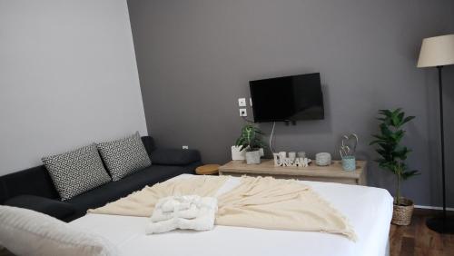 Beautiful Sweet Brown apartment in the center