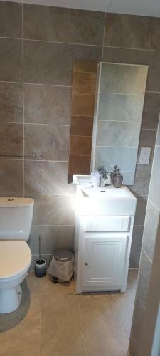 a bathroom with a white sink and a toilet at Great Trethew Hotel - Self Catering Lodges - Bar & Restaurant in Liskeard