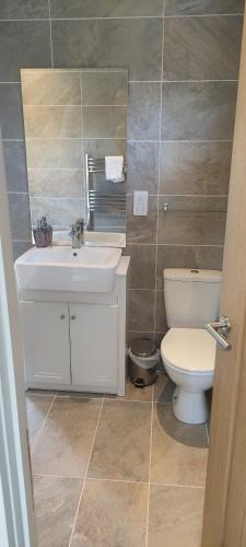 a bathroom with a sink and a toilet at Great Trethew Hotel - Self Catering Lodges - Bar & Restaurant in Liskeard