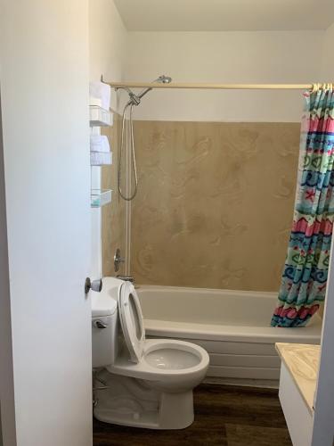 a bathroom with a toilet and a bath tub at Swiss Sunset Inn in Penticton