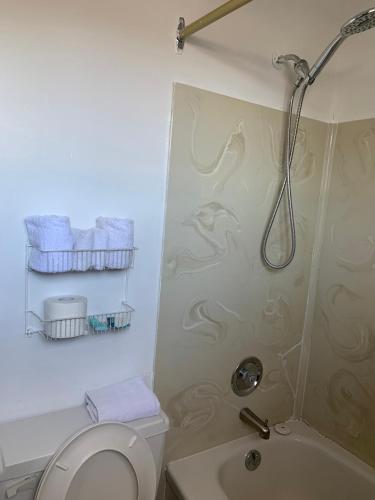 a bathroom with a shower and a toilet and a sink at Swiss Sunset Inn in Penticton