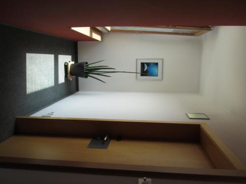 a room with a potted plant on the wall at Businesshotel Valerian in Hohenems