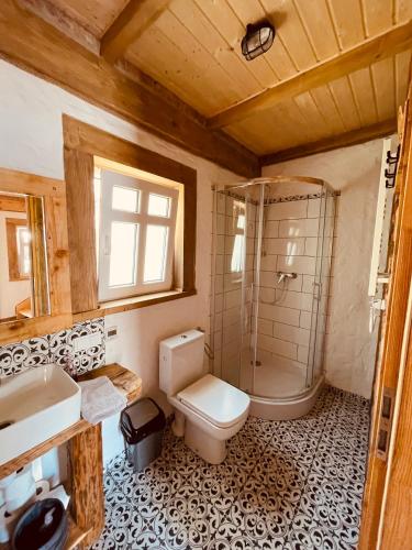a bathroom with a toilet and a shower and a sink at MOTOMYCZKI-motel in Myczkowce
