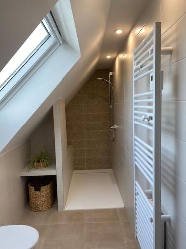 La salle de bains mansardée est pourvue d'une douche et de toilettes. dans l'établissement Chez Antoine & Antoinette 12, à Schleithal