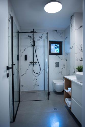 a bathroom with a glass shower and a toilet at Vila Happy Busteni in Buşteni