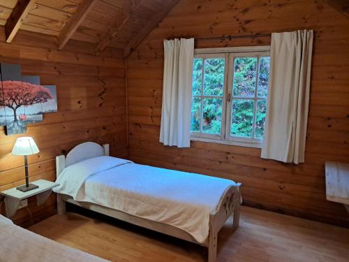 Un dormitorio con dos camas y una ventana. en Cabañas Alegra 1, en San Martín de los Andes