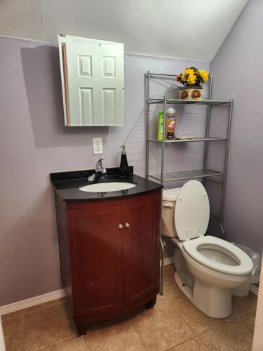a bathroom with a toilet and a sink and a mirror at Winnipeg Place to Stay in Winnipeg
