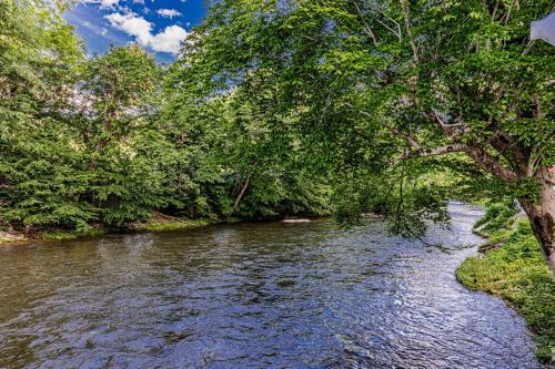 a river with trees on the side of it at Rivers Edge Motel in Cherokee
