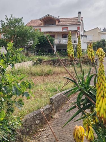Taman di luar Apartments with parking space Zman, Dugi otok - 449