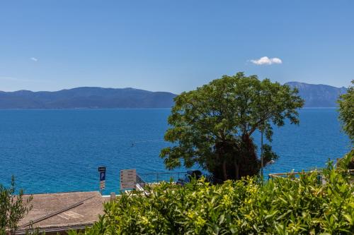a tree in front of a large body of water at Apartments by the sea Brist, Makarska - 22463 in Podaca