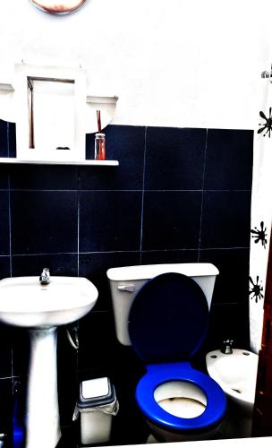 a bathroom with a blue toilet and a sink at Apartamento POSADAS in Posadas