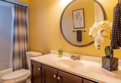 a bathroom with a sink and a toilet and a mirror at 2 homes within 5 miles of each other, one on Lake in Lutz