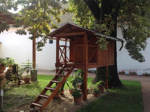 a tree house on a tree with a ladder at Öregtölgy Panzio in Csongrád