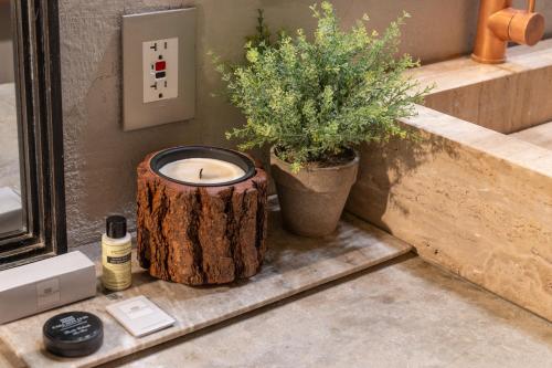 a candle sitting on a log next to a plant at Hotel Casa Don Luis by Faranda Boutique, a member of Radisson Individuals in Cartagena de Indias