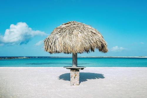 a straw umbrella on a beach with the ocean at Central Boutique Hotel in Oranjestad