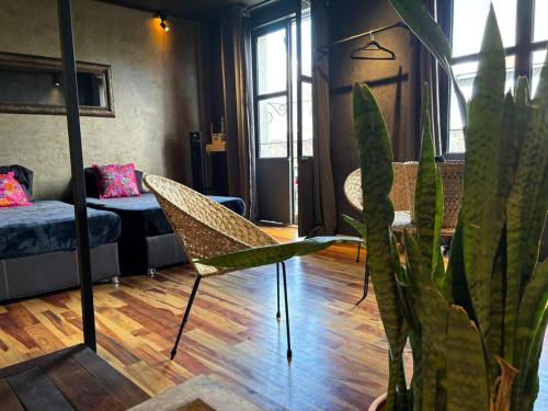 Posezení v ubytování Casa Sabina Down Town Mexico City