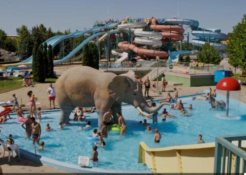 Beach Deluxe Apartman 4200 Hajdúszoboszló, Major utca 47 fsz 3. kép - 3