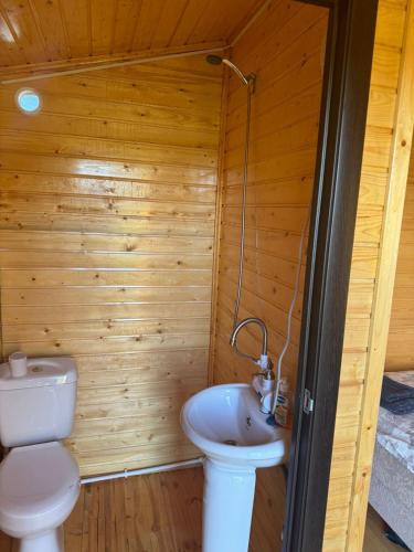 a bathroom with a toilet and a sink at Eco Aura (RestZone) in Areguni