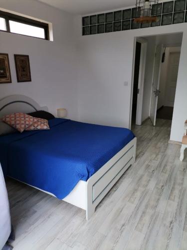 Un dormitorio con una cama con un edredón azul. en Villa Allamanda, en Flic en Flac