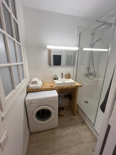 une salle de bain avec une machine à laver et un lavabo dans l'établissement Charmant Duplex Intra-Muros, à Avignon