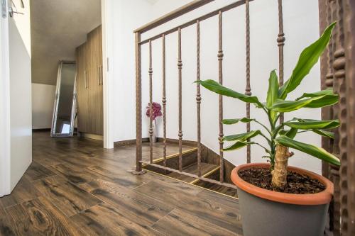 a plant in a pot next to a staircase at Penthouse with HotTub and Duplex in Makarska