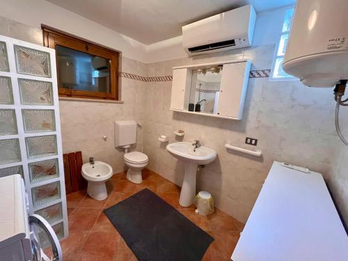 a bathroom with a sink and a toilet and a mirror at Maso Giulia in Pieve Tesino
