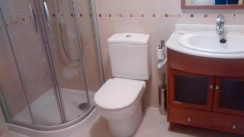 a bathroom with a toilet and a shower and a sink at Margas Golf Apartment in Latas