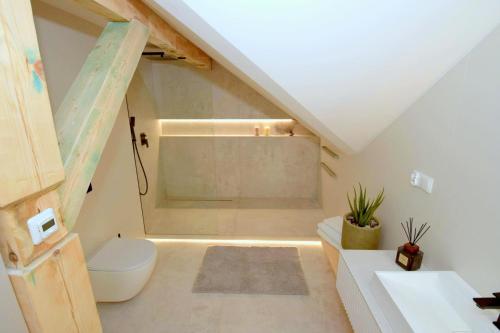 an attic bathroom with a toilet and a shower at Apartamenty Blanca in Łeba